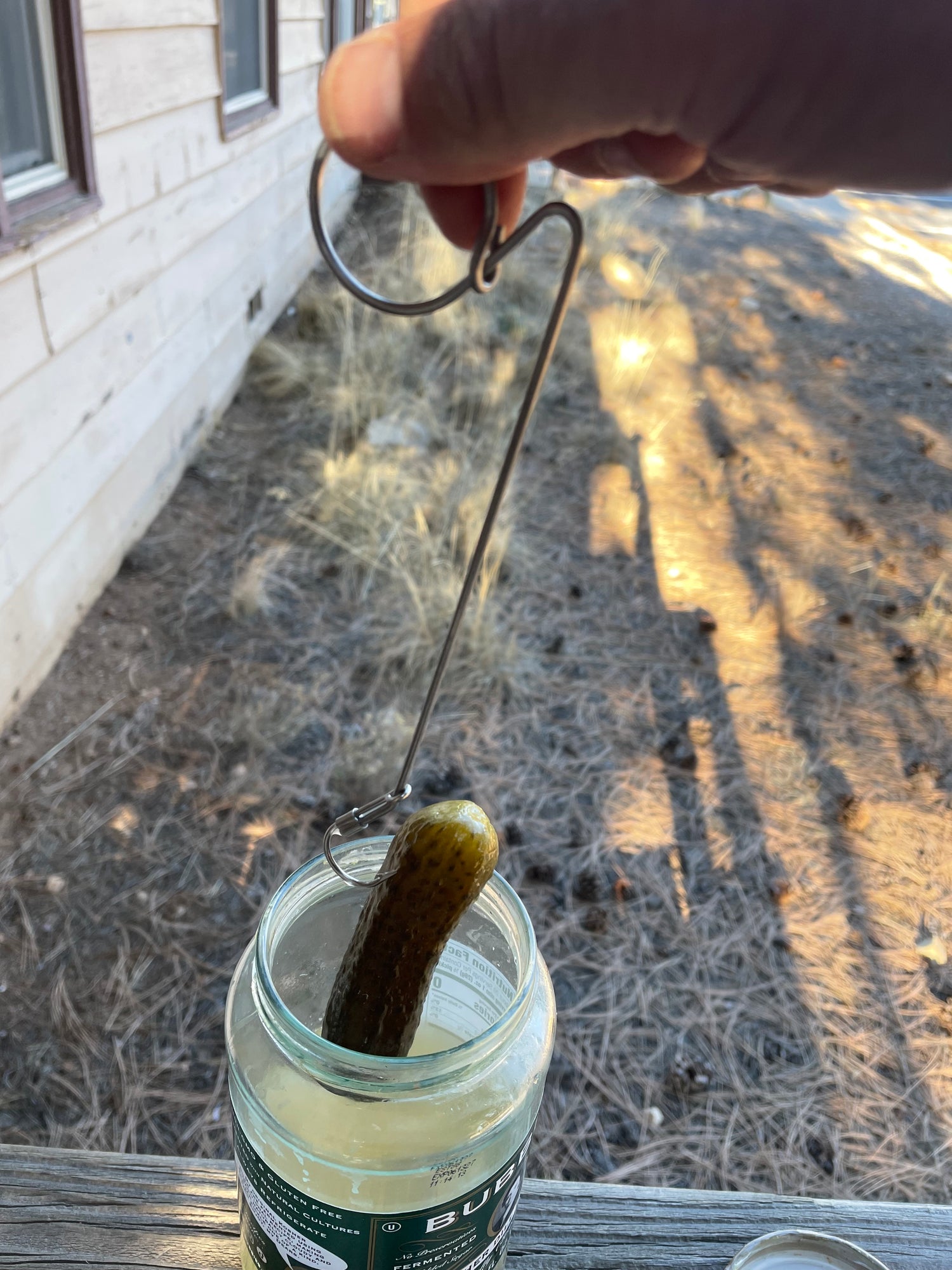 Person using a hook to get a pickle out of a jar outside