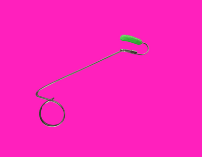 Pickle PPPE